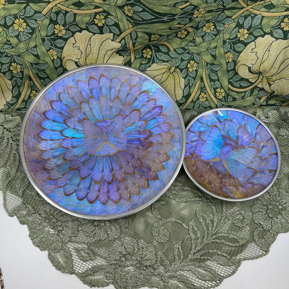 Vintage Brazilian Blue Morpho Butterfly Wing Wall Art Wall Hanging Boho Decor
